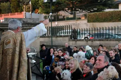 El p&aacute;rroco de la Soledad, monse&ntilde;or Alberto Cuevas, bendice a las mascotas sostenidas en brazos por sus propietarios durante la tradicional celebraci&oacute;n de San Ant&oacute;n en el atrio del templo de O Castro.