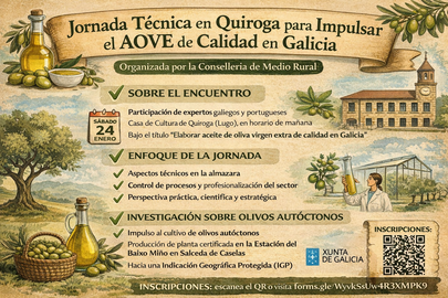 Infograf&iacute;a DL-G.