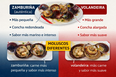 Infograf&iacute;a DL-G.