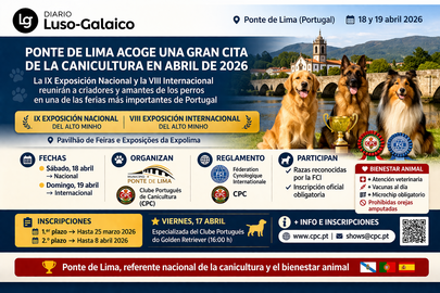 Departamento de Infograf&iacute;a DL-G.