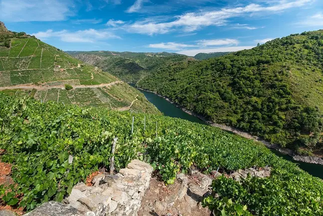 Ribeira Sacra, reserva de la Biosfera.