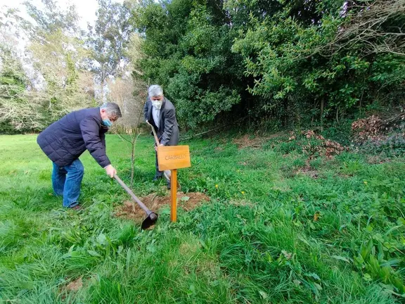 El director general de Planificación y Ordenación Forestal inauguró la Semana forestal con una plantación en Ordes, tras realizar un tramo del Camino Inglés.