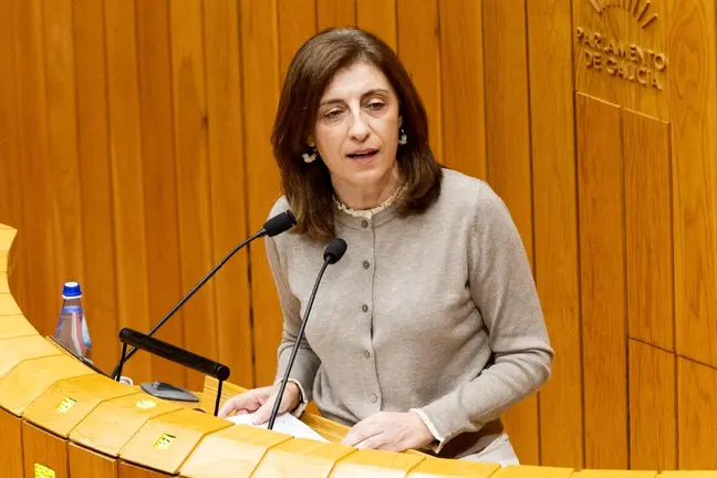 La conselleira de Medio Ambiente, Ángeles Vázquez, durante su intervención en la tribuna del Parlamento de Galicia.
