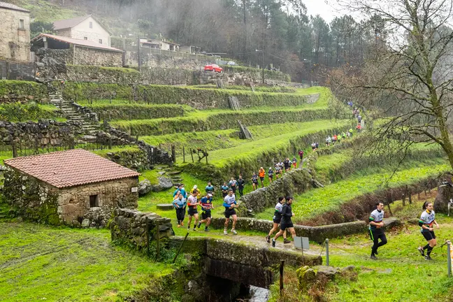 Participantes del Trail do Aloia durante una edici&oacute;n anterior, recorriendo senderos y paisajes del Parque Natural Monte Aloia, uno de los grandes atractivos de esta prueba de monta&ntilde;a.