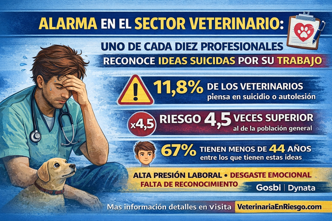 Infograf&iacute;a DL-G.