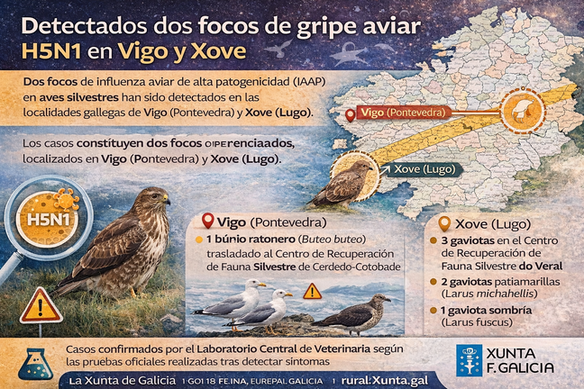 Infograf&iacute;a DL-G.