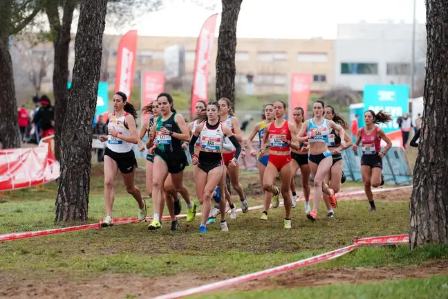 Un grupo de atletas compite en una prueba de campo a trav&eacute;s durante el Campeonato de Espa&ntilde;a por selecciones auton&oacute;micas. Foto: RFEA.