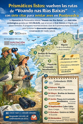 Iinfograf&iacute;a DL-G.