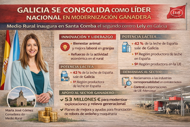 Infograf&iacute;a DL-G.