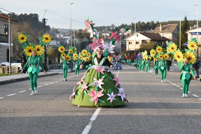 Unha das comparsas participantes enche a Avenida de Sangui&ntilde;eda de cor con espectaculares traxes florais e coreograf&iacute;as coordinadas durante o desfile do Entroido de Mos.