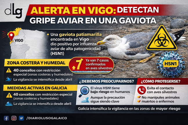 Departamento de Infograf&iacute;a DL-G.