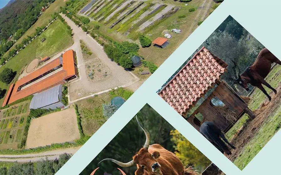 Fragmento del cartel. 