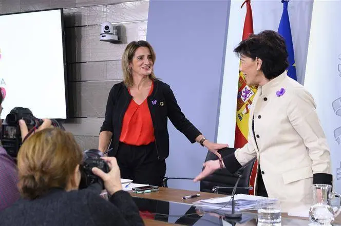 La ministra de Transición Ecológica, Teresa Ribera, en un pasado consejo de ministros. POOL MONCLOA/BORJA PUIG DE LA BELLACASA.