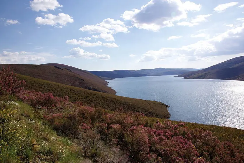 Parque Natural O invernadeiro. Con cerca de 6.000 hectáreas y enclavado en el Macizo Central ourensano, O Invernadeiro se extiende a través de verdes y ondulantes montañas o de abruptos paisajes rocosos. 