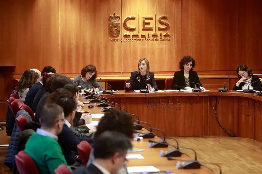 A conselleira de Política Social, Fabiola García, preside a posta en marcha deste novo organismo de carácter consultivo na sede do Consello Económico e Social de Galicia.