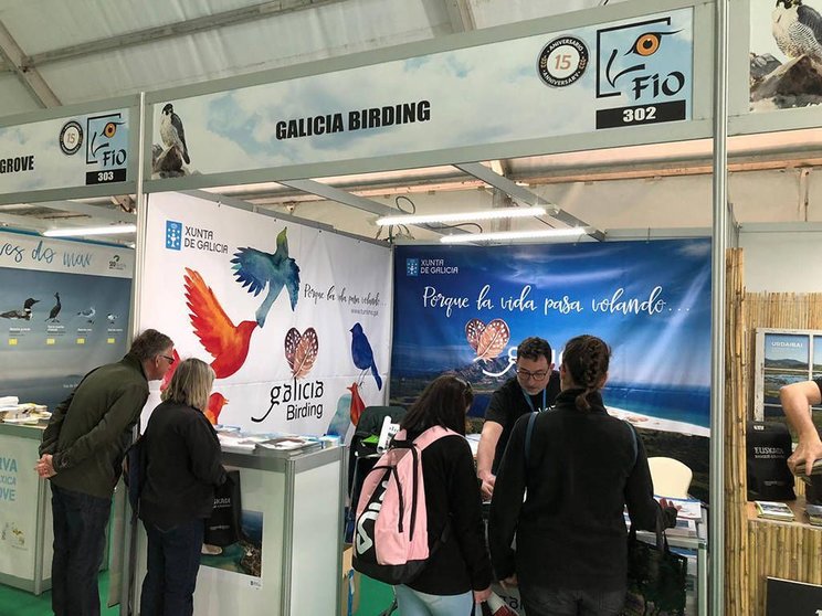 Un año más, la Comunidad gallega participa en la feria FIO con un expositor desde el que se ofrece información de productos especializados como ‘Galicia Birding'.