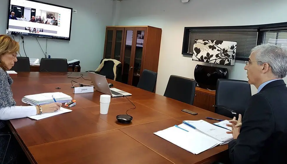 El conselleiro de Econom&iacute;a, Empleo e Industria, Francisco Conde, se reuni&oacute; hoy por videoconferencia con las distintas delegaciones del Instituto Gallego de Seguridad y Salud Laboral (Issga).