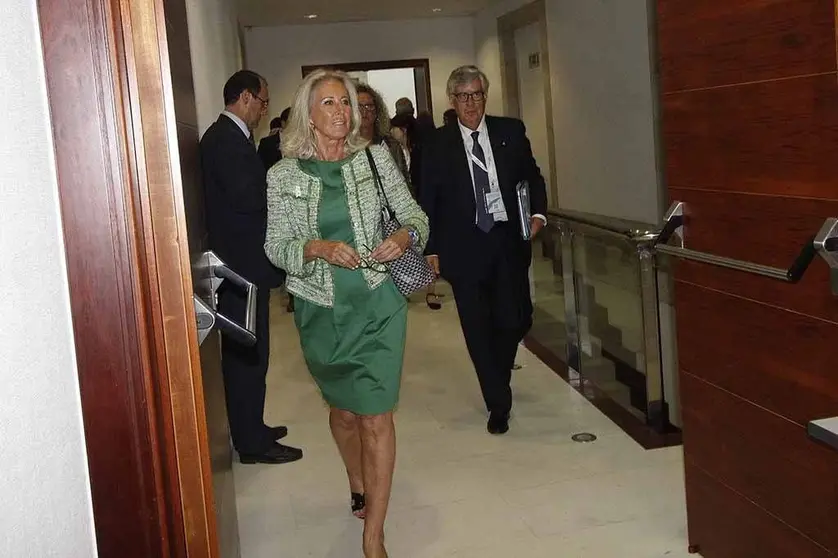 Corina Porro, a delegada territorial da Xunta en Vigo. ARQUIVO. 