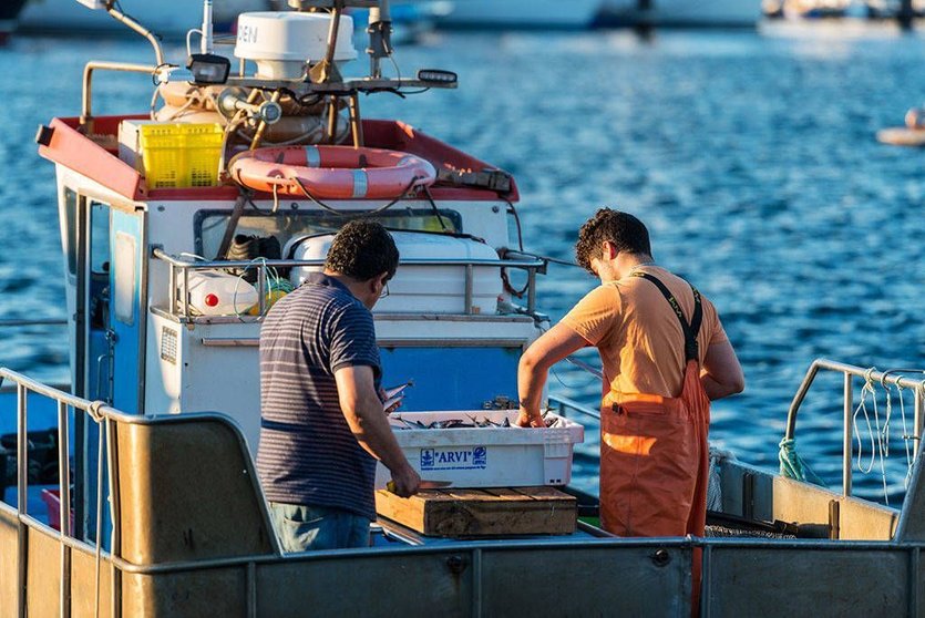•	As persoas profesionais da pesca poden percibir un máximo de 50 euros por día de parada dende o 16 de marzo.