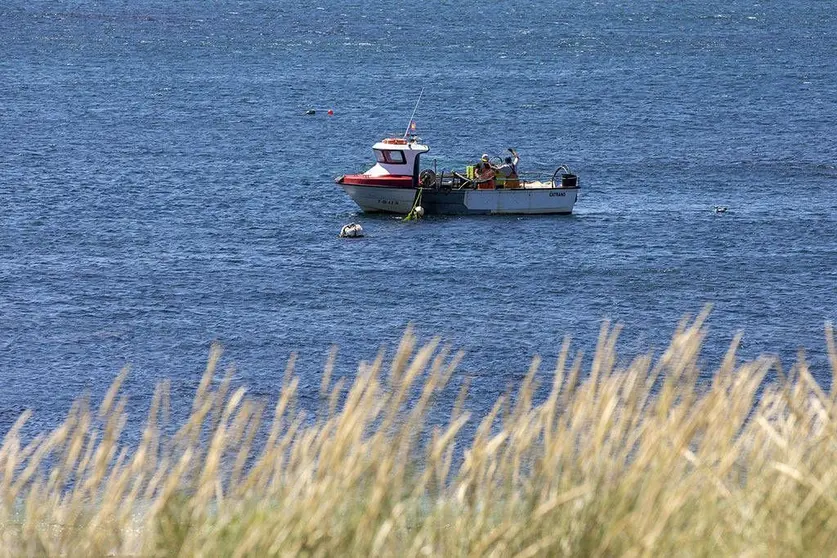 Se está evaluando la extensión durante este año del sistema en otros ámbitos, como la comercialización del producto de las lonjas adheridas al proyecto Lonjas Gallegas 4.0, o la trazabilidad de la madera en las talas públicas y privadas realizadas en Galicia.
