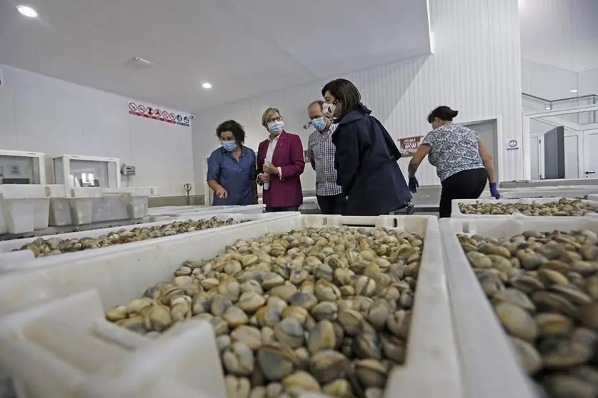 La conselleira del Mar se reunió en O Grove con representantes de la cofradía y de las mariscadoras para analizar las medidas para hacer frente a la crisis de la covid-19.