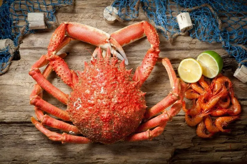 Se abre la extracción de este crustáceo, el centollo en A Coruña y Pontevedra. En la provincia de Lugo el centollo permanecerá en veda hasta el 29 de noviembre, día incluido. 