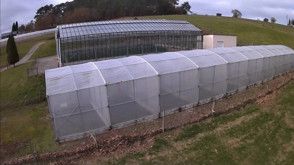 Este modelo facilita llevar a cabo el proceso de multiplicación con mayor eficacia y menores costes que los sistemas tradicionales.