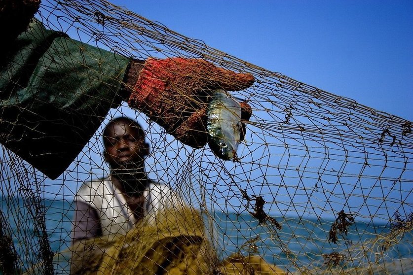 Pescadores recogiendo sardinas en la costa senegalesa de Joal Fadiout. Senegal.