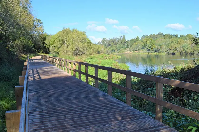 A ecovia foi idealizada num contexto de adaptação à topografia original, incidindo em carreiros e caminhos já existentes. 