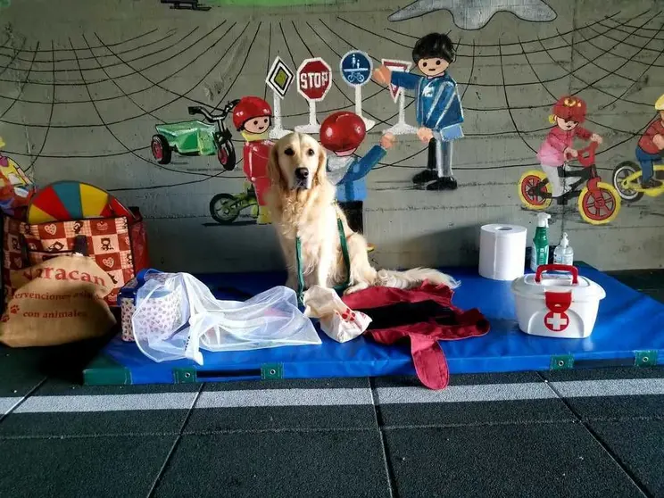 O alumnado NEAE se beneficia de novidosas técnicas de apoio e aprendizaxe.