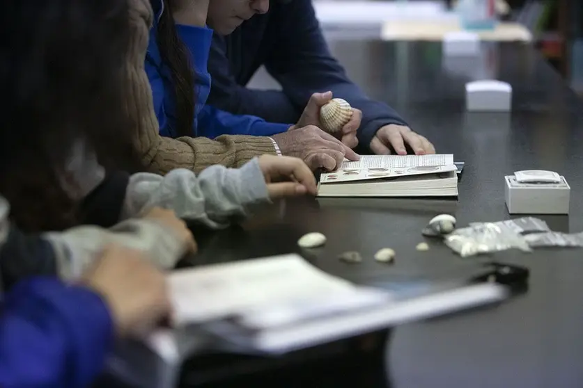 Valoran la capacidad de superación del alumnado que cursa 4º de Secundaria frente a las dificultades, bien sean de tipo personal, educativas o de contorno familiar y sociocultural.