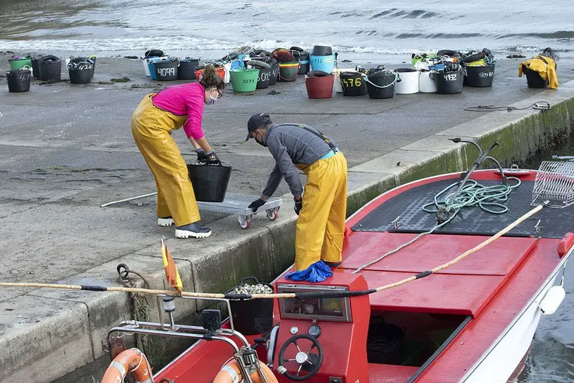 inicio da campaña marisqueira en noia