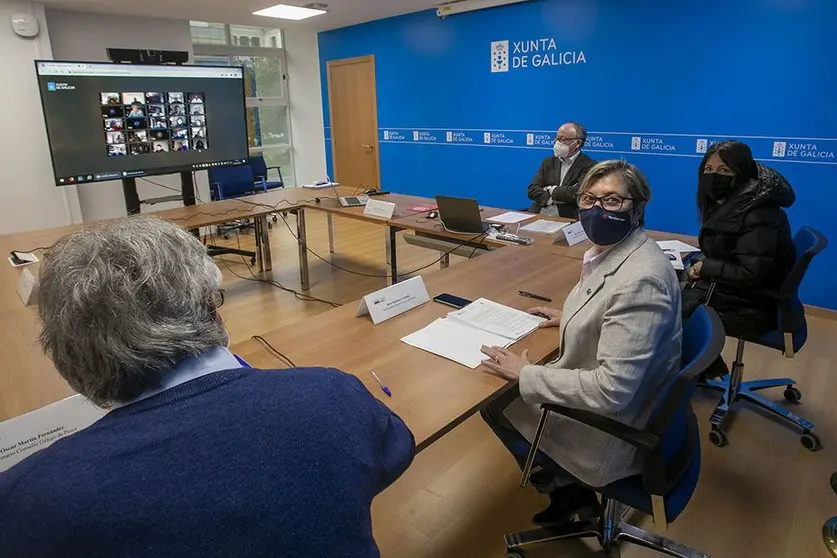 La conselleira del Mar presidió por videoconferencia el Consello Galego de Pesca