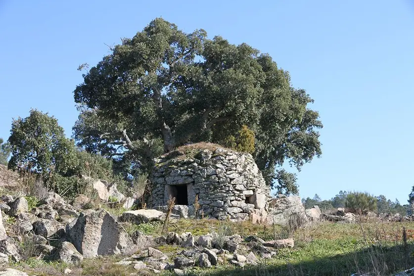 Trilhos Vilarinho e Pinhal.