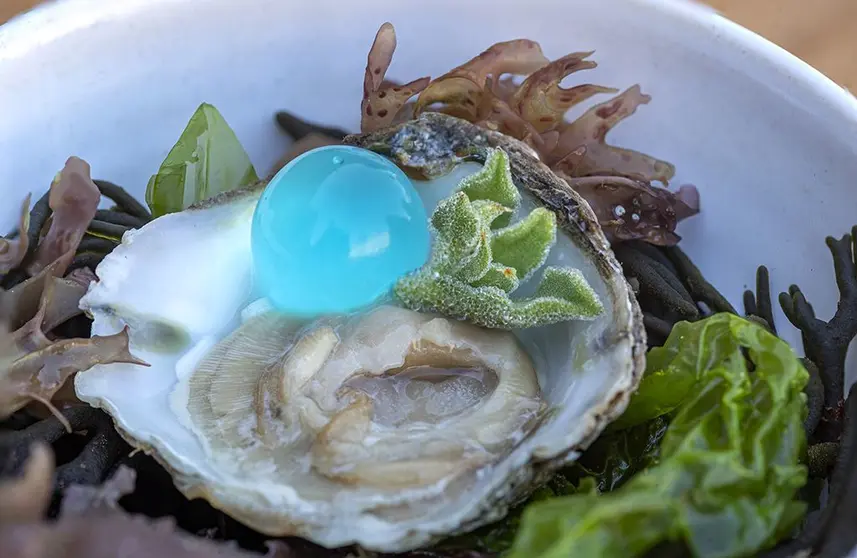 Albariño, ostras, anguilas y almejas en el castillo de Soutomaior.