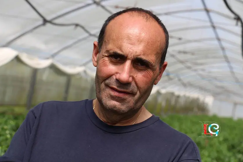 José Manuel Ferro en uno de los invernaderos familiares de Pementos Carmucha, en Herbón, Padrón. 