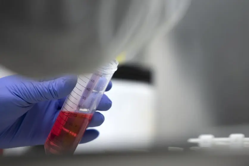 Aimen, Anfaco-Cecopesca, el Clúster de Acuicultura de Galicia, el Centro Tecnológico de Automoción (CTAG) y el Instituto Tecnológico de Galicia (ITG) obtienen más de 5 millones de euros de los 19,3 concedidos provisionalmente en las ayudas destinadas a centros tecnológicos de excelencia 'Cervera'.