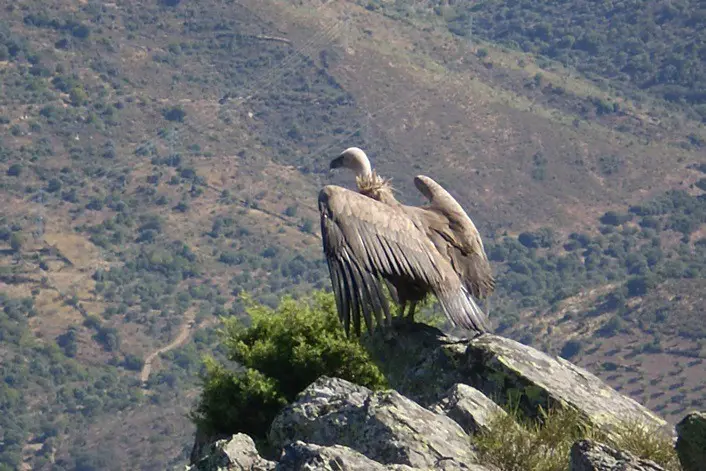 Parque Natural do Douro Internacional.