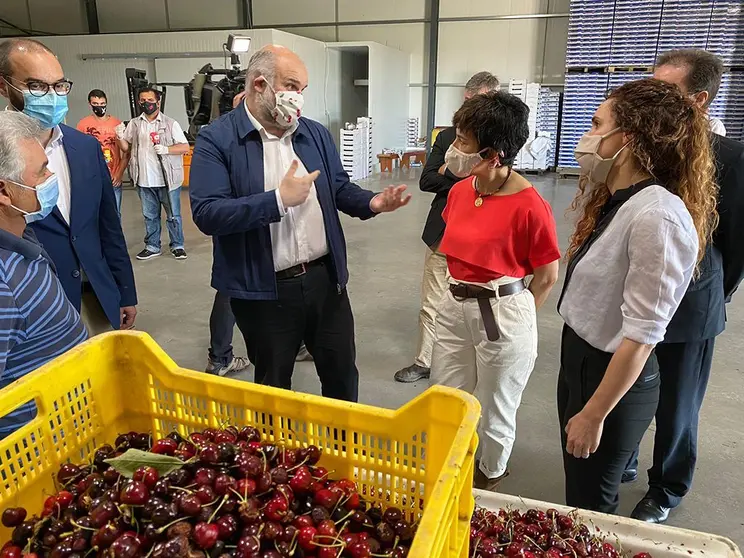 Ministra de Agricultura, Maria do C&eacute;u Antunes.
