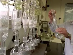 Laboratorio de investigación. LUÍSA FERREIRA. 