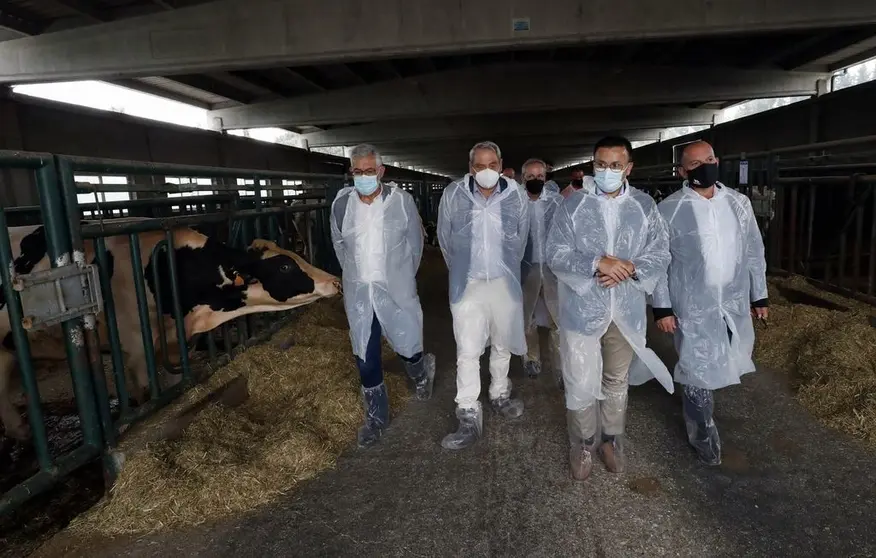 El conselleiro del Medio Rural visitó hoy Xenética Fontao y celebró el próximo inicio, por parte de esta empresa pública, de la producción en exclusiva de semen sexado para toda España.