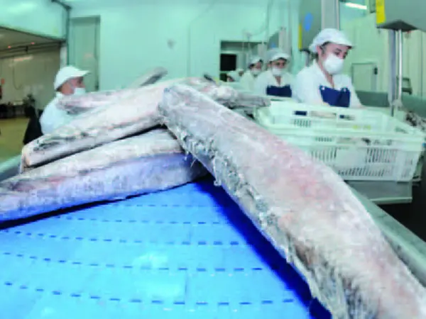 Congelados Sariego Asentada desde hace casi 30 años en el polígono de Rábade, ARCHIVO.