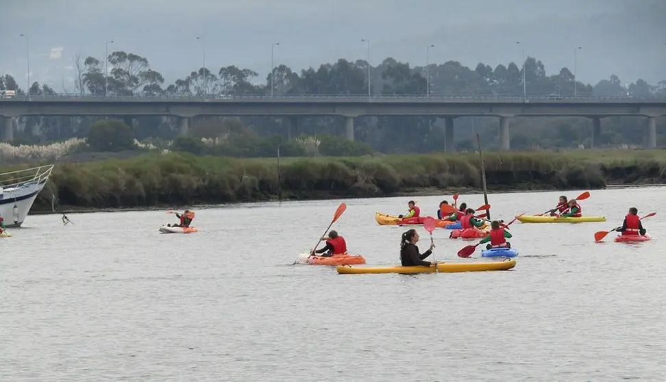 O Município de Viana do Castelo, que organiza, trata dos transportes, assegura financeiramente o projecto, as escolas que elaboram os horários e dotam os professores e alunos que vão participar nas aulas e os clubes, neste caso a DKC de Viana, que fornece os meios técnicos como professores e treinadores e materiais.  