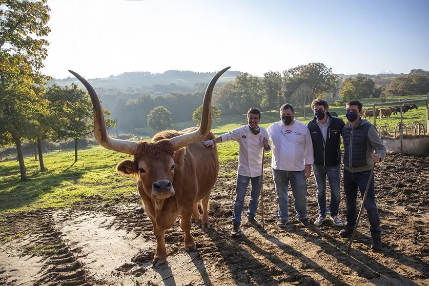 La Finca Recelle, propiedad del Restaurante España, fue escenario de un evento que combinó 
la presentación del proyecto con una visita a los bueyes criados por Héctor López y su familia 
y una degustación de platos kilómetro cero.