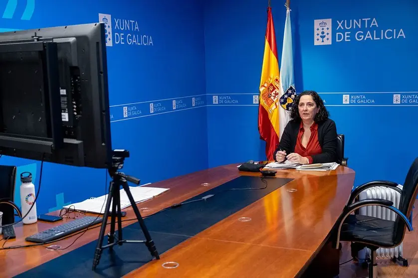La directora xeral de Patrimonio Natural, Belén do Campo, participó por videoconferencia en la reunión de la Comisión estatal de patrimonio natural e da biodiversidade.

foto xoán crespo
22/11/2021