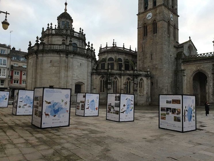 La ciudad de As Burgas recoge el testigo de Lugo, donde arrancó esta muestra que conmemora el 50 aniversario de la creación del programa Home y la Biosfera (MaB).