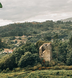 La torre de Fornelos se encuentra junto al embalse de Frieira, a orillas del río Ribadil, en una colina que condicionó su estructura y las diferentes alturas que presenta.