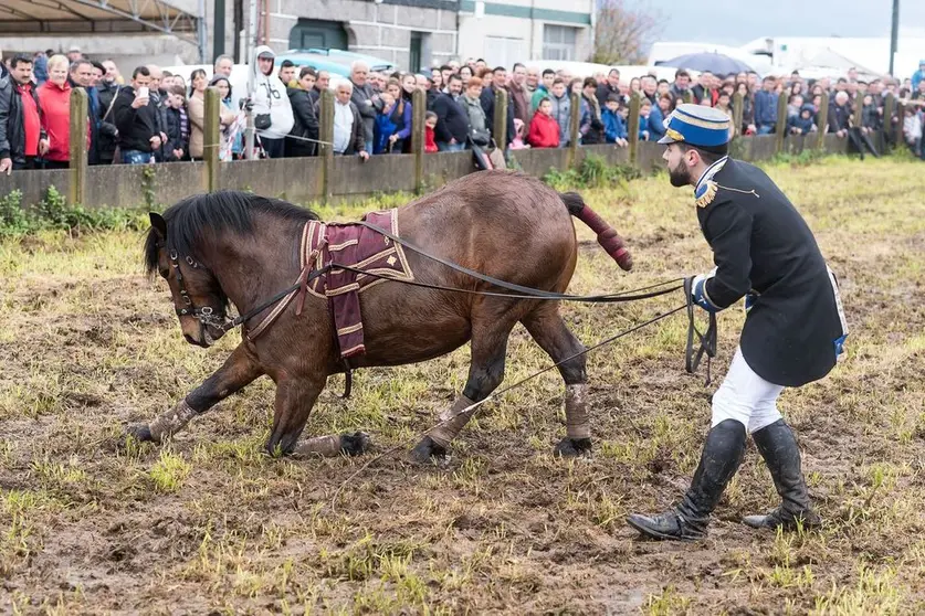 Feira Cabalar,2016. ARQUIVO.