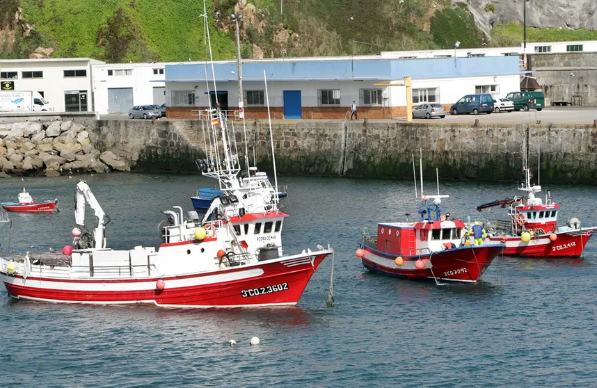 Puerto de Malpica de Bergantiños.