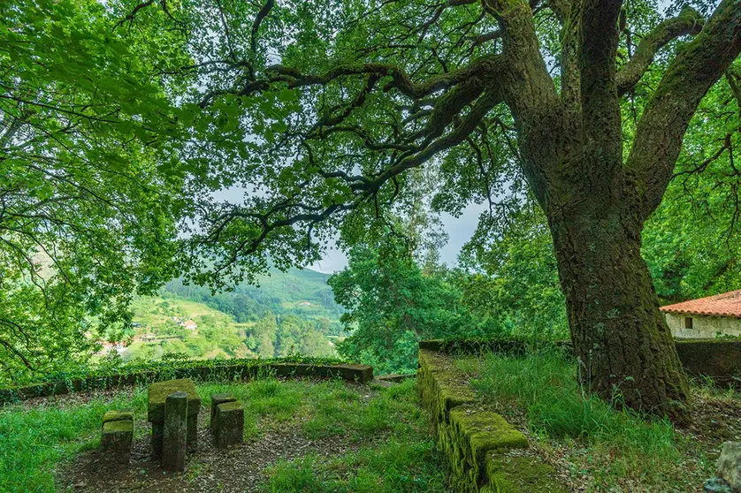 A tradição da Mesa dos Quatro Abades está de regresso.